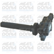 MEAT & DORIA 10412