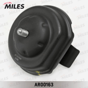 Miles AR00163