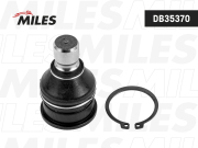 Miles DB35370