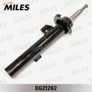 Miles DG21262