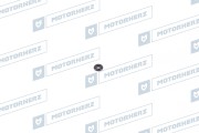 Motorherz HR0249