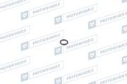 Motorherz HR0252