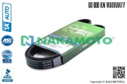 Nakamoto R090025