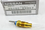 NISSAN 2508089907