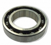 NTN AB12831