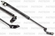PATRON PGS100054