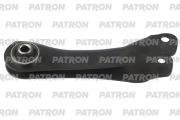 PATRON PS51581