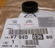 Peugeot-Citroen V764583680