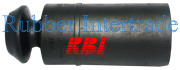 Rbi N14J31E