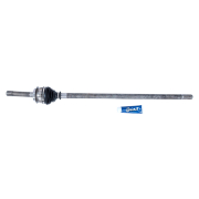 Riginal RG2300016