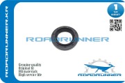 ROADRUNNER RR9031147013