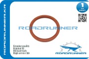 ROADRUNNER RR9031192008