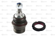 Schatz S12554