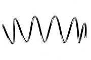 Standard Springs ST125075F