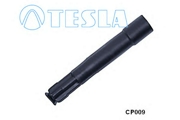 TESLA CP009