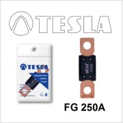 TESLA FG250A