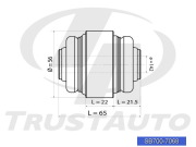 Trust Auto SB7007068