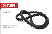 TSN 101167