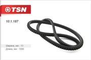 TSN 101187
