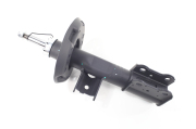 ZF Russia 315267ZFR