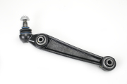ZF Russia 3599601ZFR