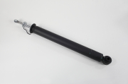 ZF Russia 556882ZFR