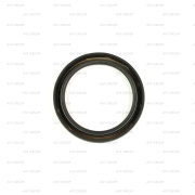 ZF 0734319695