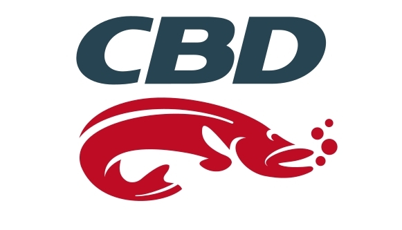CBD
