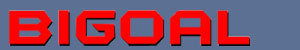 BIGOAL